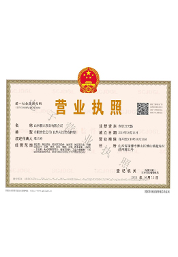 電子(zi)營業執照