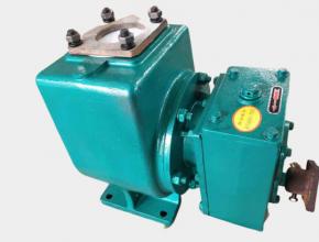 小型灑(sǎ)水泵