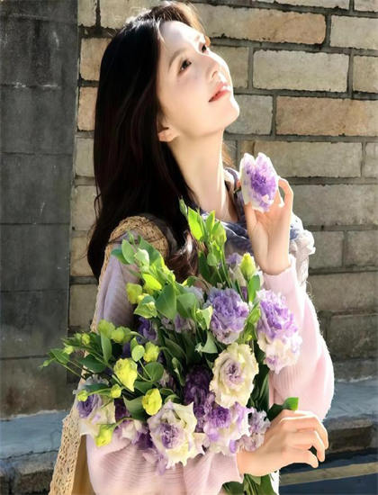 《单车上的阿尔西斯特》故事脉络梳理：主线与支线情节完整主观解读，推荐